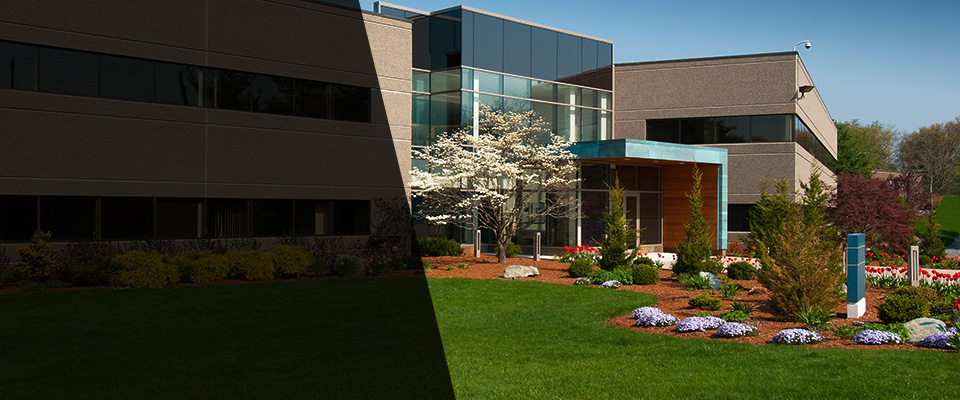 Slingerlands Landscapers