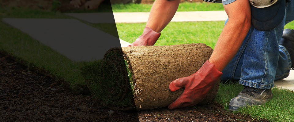 Slingerlands Landscapers